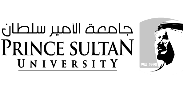 Partner logo 13